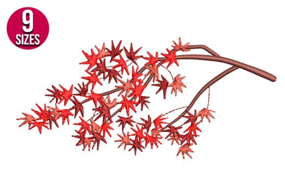 Maple Branch Review for Seasonal Collections